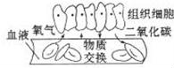 (www.zxxk.com)--教育资源门户，提供试卷、教案、课件、论文、素材及各类教学资源下载，还有大量而丰富的教学相关资讯！