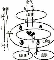 (www.zxxk.com)--教育资源门户，提供试卷、教案、课件、论文、素材及各类教学资源下载，还有大量而丰富的教学相关资讯！