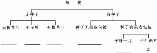 (www.zxxk.com)--教育资源门户，提供试卷、教案、课件、论文、素材及各类教学资源下载，还有大量而丰富的教学相关资讯！