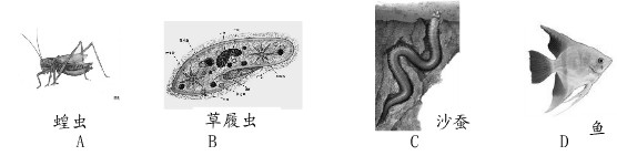 http://www.examw.com/zhongkao/Files/2013-3/9.jpg