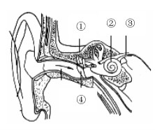 http://www.examw.com/zhongkao/Files/2013-3/14.jpg