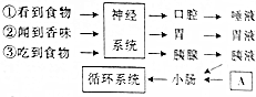 (www.zxxk.com)--教育资源门户，提供试卷、教案、课件、论文、素材及各类教学资源下载，还有大量而丰富的教学相关资讯！