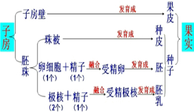 (www.zxxk.com)--教育资源门户，提供试卷、教案、课件、论文、素材及各类教学资源下载，还有大量而丰富的教学相关资讯！