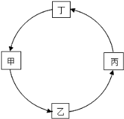 菁优网