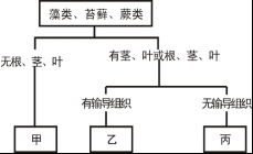 (www.zxxk.com)--教育资源门户，提供试卷、教案、课件、论文、素材及各类教学资源下载，还有大量而丰富的教学相关资讯！