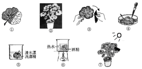 (www.zxxk.com)--教育资源门户，提供试卷、教案、课件、论文、素材及各类教学资源下载，还有大量而丰富的教学相关资讯！