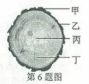 (www.zxxk.com)--教育资源门户，提供试卷、教案、课件、论文、素材及各类教学资源下载，还有大量而丰富的教学相关资讯！