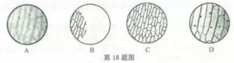 (www.zxxk.com)--教育资源门户，提供试卷、教案、课件、论文、素材及各类教学资源下载，还有大量而丰富的教学相关资讯！