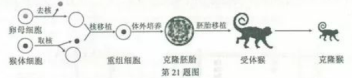 (www.zxxk.com)--教育资源门户，提供试卷、教案、课件、论文、素材及各类教学资源下载，还有大量而丰富的教学相关资讯！