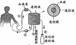 (www.zxxk.com)--教育资源门户，提供试卷、教案、课件、论文、素材及各类教学资源下载，还有大量而丰富的教学相关资讯！