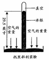 (www.zxxk.com)--教育资源门户，提供试卷、教案、课件、论文、素材及各类教学资源下载，还有大量而丰富的教学相关资讯！