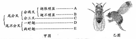 (www.zxxk.com)--教育资源门户，提供试卷、教案、课件、论文、素材及各类教学资源下载，还有大量而丰富的教学相关资讯！