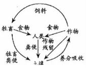 (www.zxxk.com)--教育资源门户，提供试卷、教案、课件、论文、素材及各类教学资源下载，还有大量而丰富的教学相关资讯！