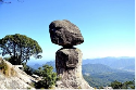 http://p2.so.qhimgs1.com/bdr/_240_/t01401cd00e62c92672.jpg