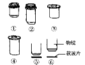 生物-31