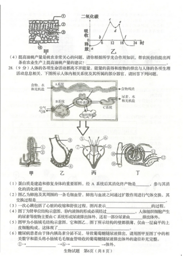 2019山东临沂中考生物试题