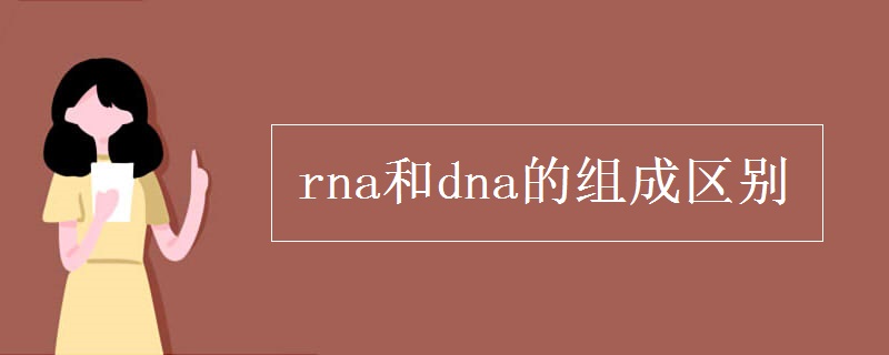 rna和dna的组成区别