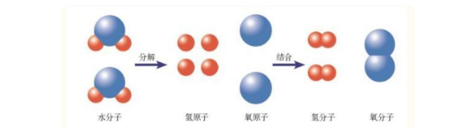 分子和原子怎么区分