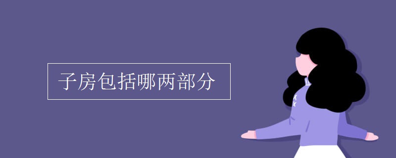 子房包括哪两部分