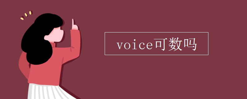 voice可数吗