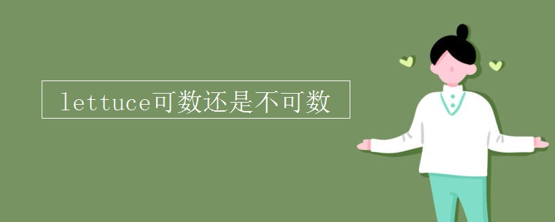 lettuce可数还是不可数