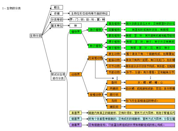 2020年中考生物知识点结构图生物的多样性