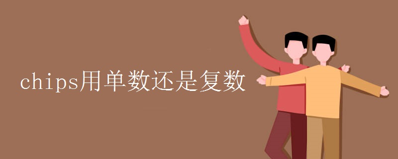 chips用单数还是复数