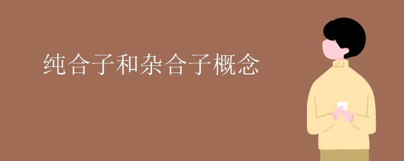 纯合子和杂合子概念