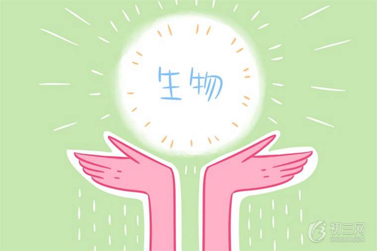 初中生物顺口溜大全总结