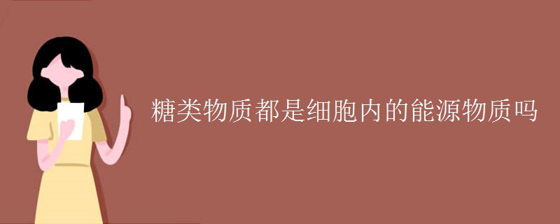 糖类物质都是细胞内的能源物质吗