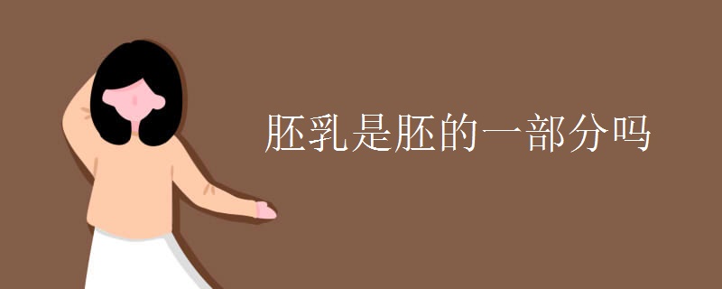 胚乳是胚的一部分吗