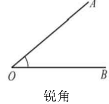 周角的两条边在什么上