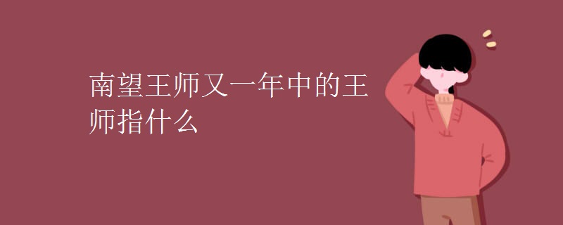 南望王师又一年中的王师指什么