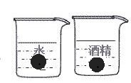 实心小球放在水和酒精里