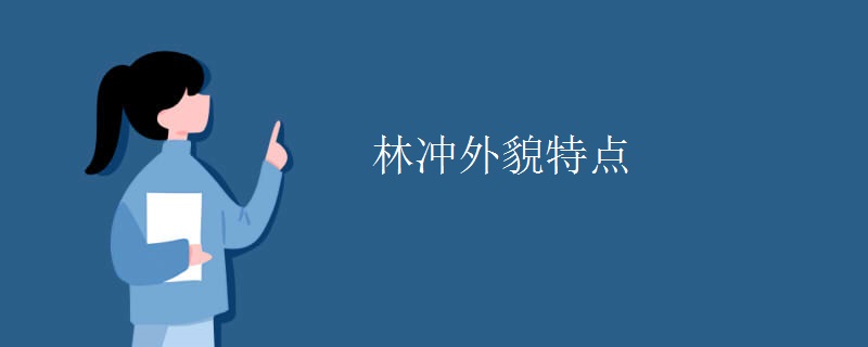 林冲外貌特点