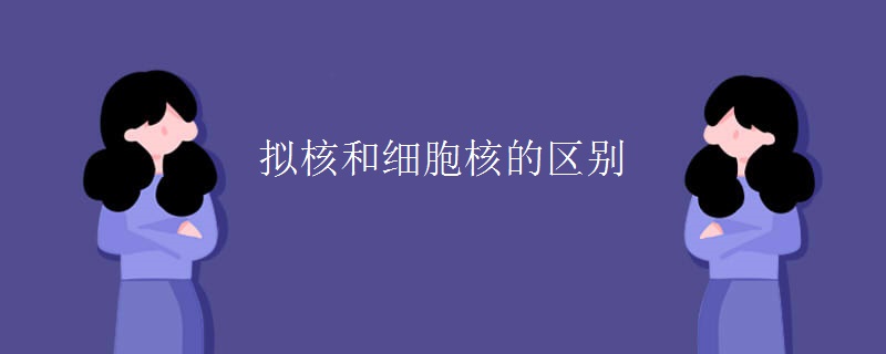 拟核和细胞核的区别