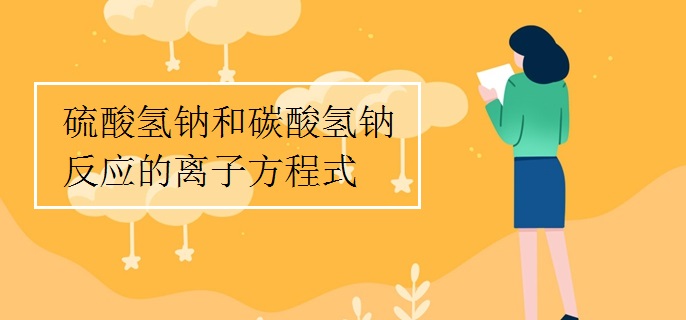 硫酸氢钠和碳酸氢钠反应的离子方程式