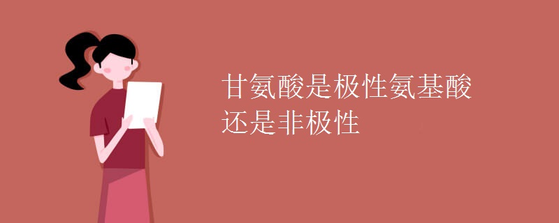 甘氨酸是极性氨基酸还是非极性