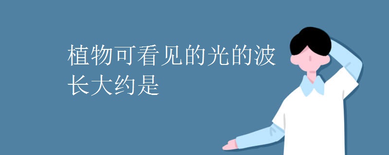 植物可看见的光的波长大约是