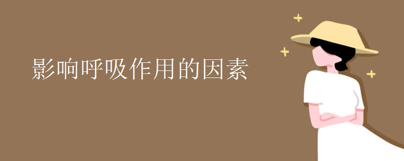 影响呼吸作用的因素
