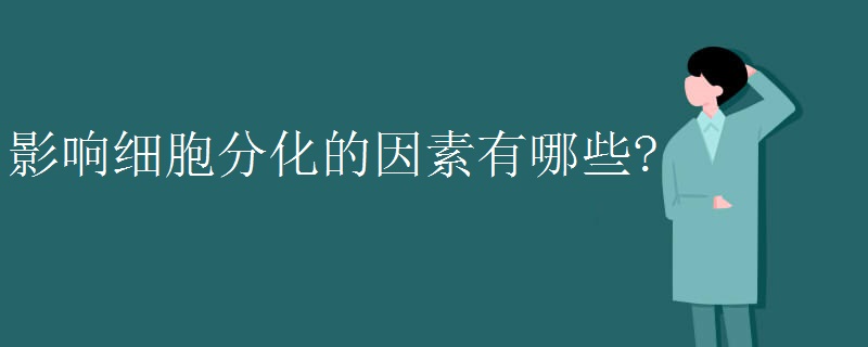 影响细胞分化的因素有哪些?
