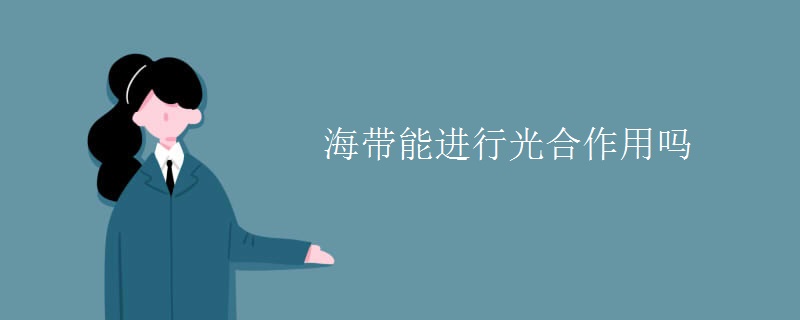海带能进行光合作用吗